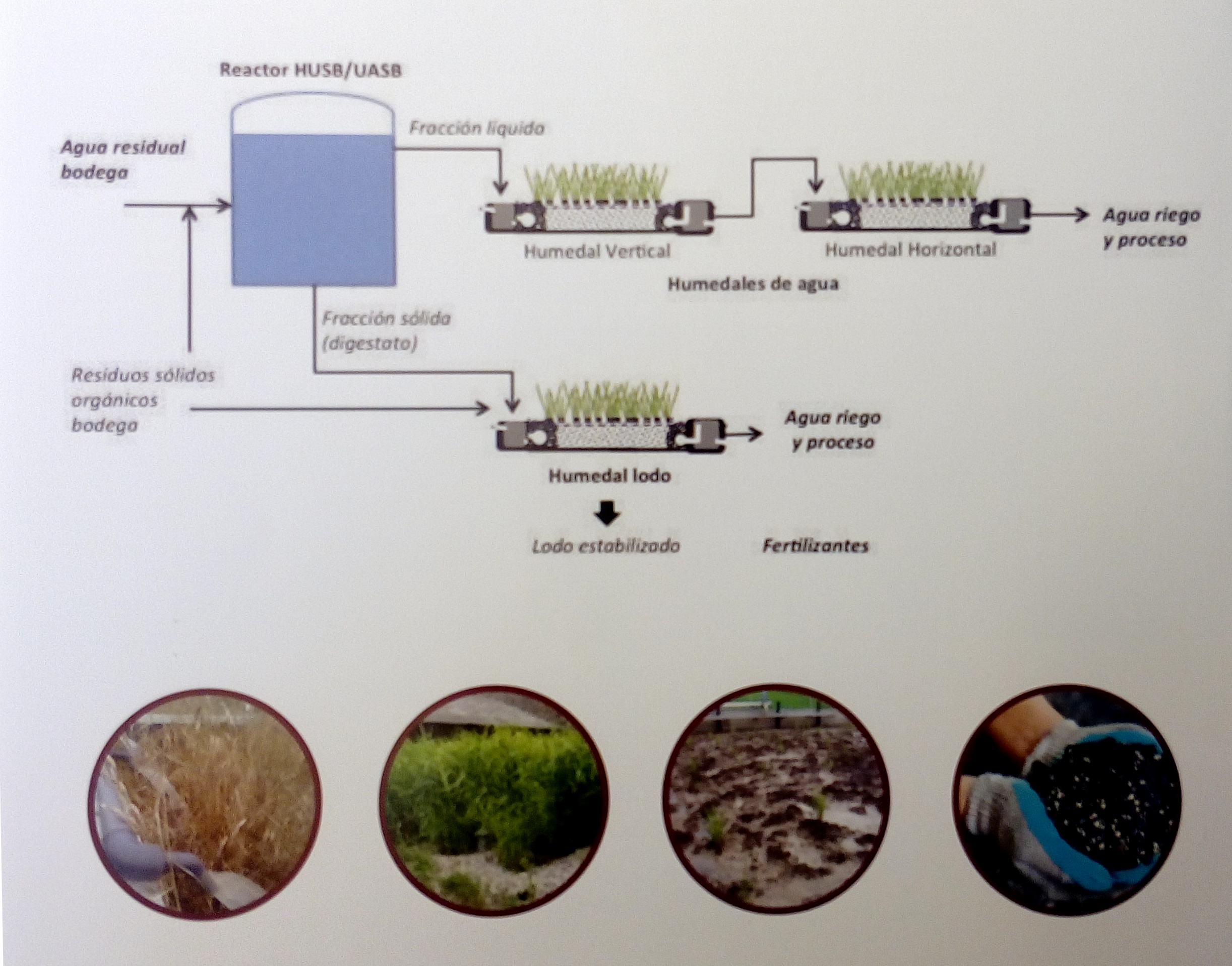 Sistemas de tratamiento de aguas residuales mediante humedales