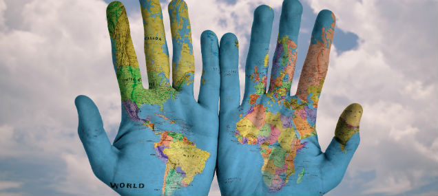 gestion y exportacion