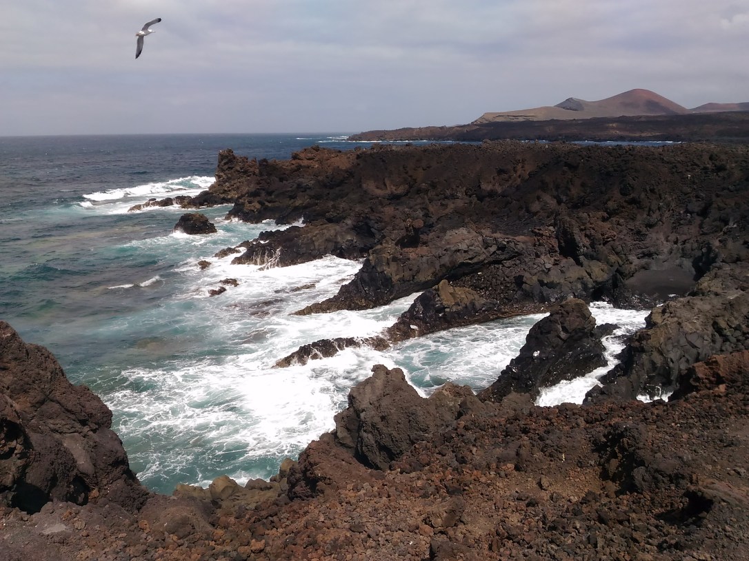 Medio Ambiente Marino
